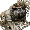 devildawg4life