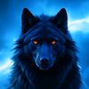 lone.....wolf1