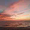 siria_35