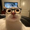 kevin_12903