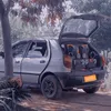 welytonsoares981
