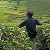 andikashopp1