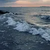 thyvy2012