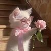 izaty_2