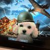 buttered_crouton