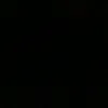 nayara.lind