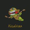 aisultan_231