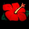user6091426790449
