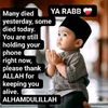 sheikh.tawffic