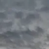 ksididjbsbsb