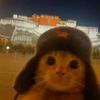 xoxoq14453