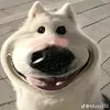 usersa6r4jmv1u