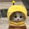 userufha6caiep