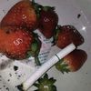 0reolobber_dump