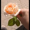 bu_shra32