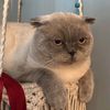 mrmrmr__04
