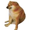 klng_dog