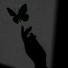 aletta_knzrvlry