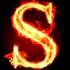 _stic1