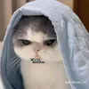 so_dau0