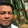 18ngonruoi