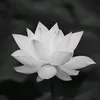 mun.mu7
