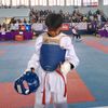 adli290410