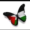 rif91.com