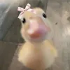 _ngngnhuy_