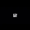 gaymedia29