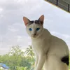 leojims0