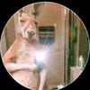 yael.cortes71