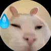 themoigiaudcchu