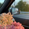 laaura_09