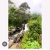agusriyanto1365