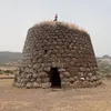 dankook135