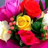 elward_elbaladi