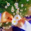 farahfroha30
