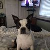 lori.hencley