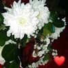 user9400797252113