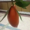 rachidazrak5