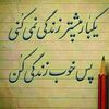 dawoodm20