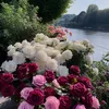suhaireldeen676