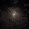 pitsuvfx4656