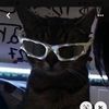 not_giselle82