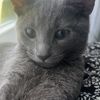 pricklylemon42
