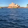 sydneylover3