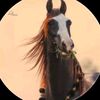 wali_khan_888
