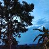 💞 senja 💞