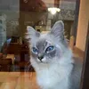 user9qkkkoxwnz